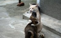 Стихи о дружбе Стихотворения про дружбу