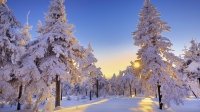 Стихи о зиме Стихотворения про зиму