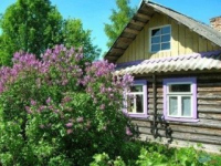 Дорога к маме Дорога к маме