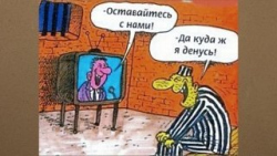 Шутка Шутка