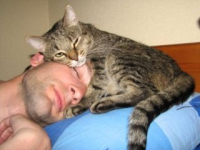 Чья победа всем известно Чья победа всем известно