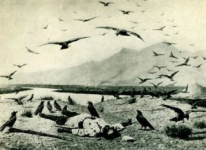 Им кричу, что я живой Им кричу, что я живой