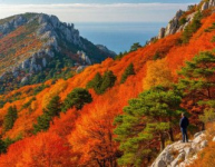 Остановись, шальная осень Остановись, шальная осень