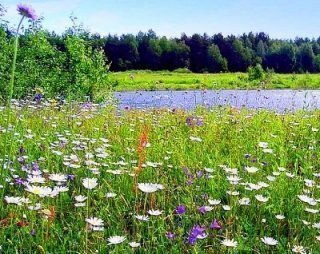 Запах пробуждения Запах пробуждения