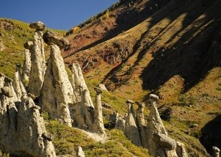Грибы Аккурума Грибы Аккурума