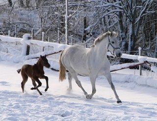 Облака как сугробы