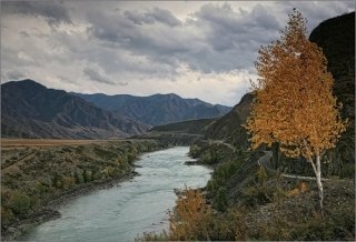 Равнодушное небо осеннее Равнодушное небо осеннее