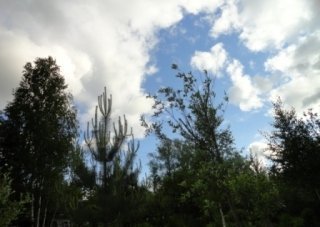 О былом и вечном О былом и вечном