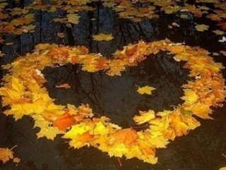 Под листьями желтеющего клёна Под листьями желтеющего клёна