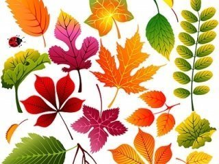 Отрывные билеты Отрывные билеты