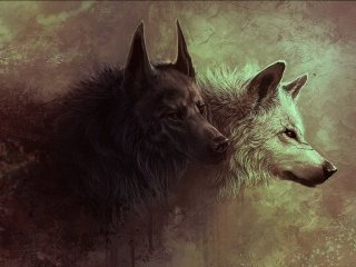 Одинокий волк Одинокий волк