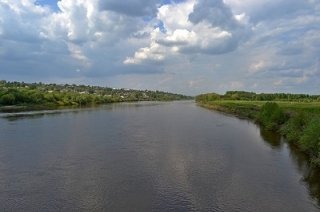 Сура - любимица ты наша Сура - любимица ты наша