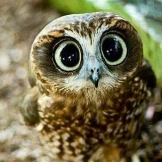 На ракете хочу в космос... На ракете хочу в космос...