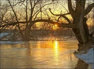 Апельсиновый апрель Апельсиновый апрель