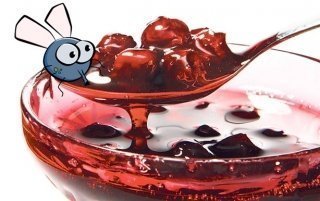 Муха и варенье Муха и варенье
