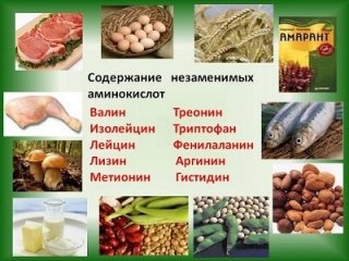 Аминокислоты Аминокислоты
