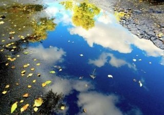 А вы давно заглядывали в лужи? А вы давно заглядывали в лужи?