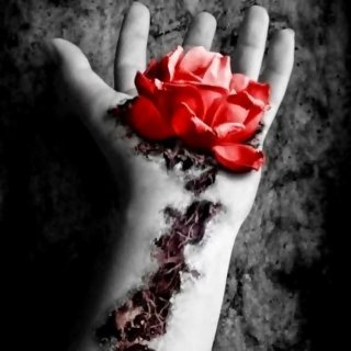 Rubrum flos Rubrum flos
