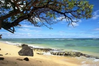 Моря исцеляющие чары Моря исцеляющие чары