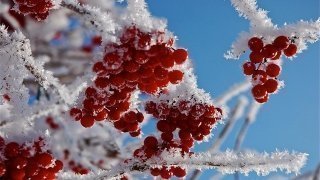 Откружился осенний фокстрот Откружился осенний фокстрот