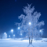 В темноте зимы В темноте зимы
